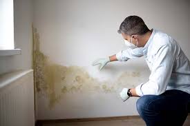 Best Water Damage & Mold Remediation  in Tarboro, NC